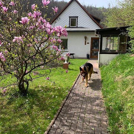 Ferienhaus Andrea Am Bodetal Treseburg Kültér fotó