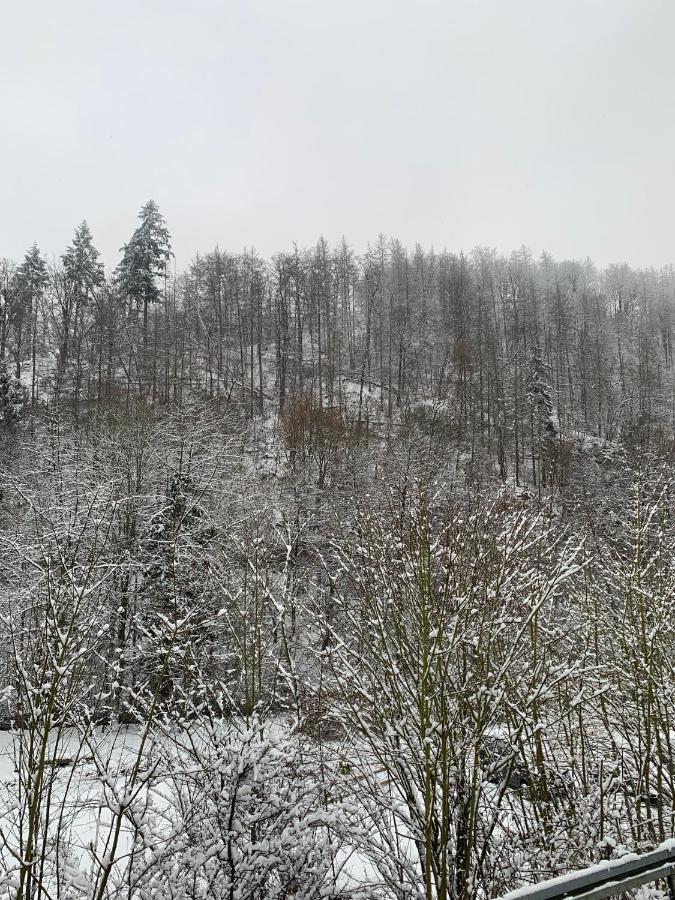 Ferienhaus Andrea Am Bodetal Treseburg Kültér fotó