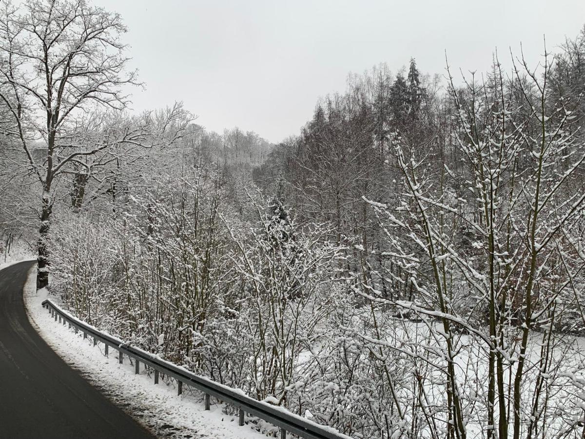 Ferienhaus Andrea Am Bodetal Treseburg Kültér fotó