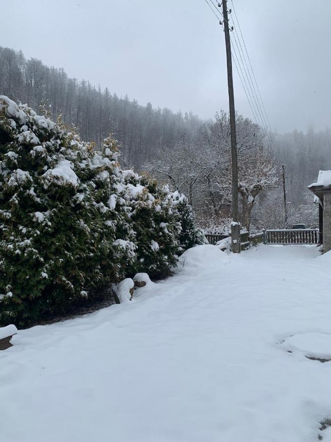 Ferienhaus Andrea Am Bodetal Treseburg Kültér fotó